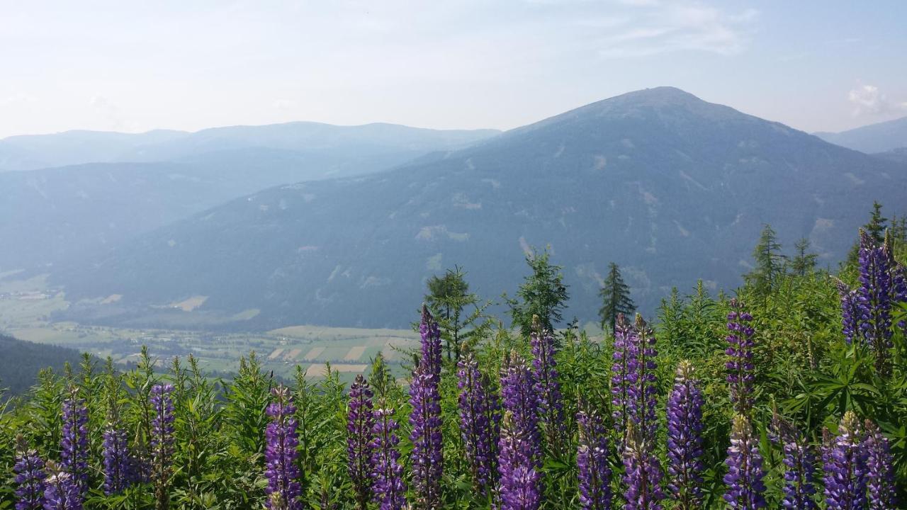 Villa Mountain View With Waterbed Sankt Michael im Lungau Eksteriør bilde